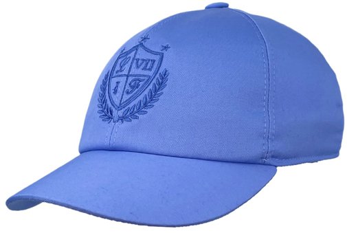 Бейсболка "Герб", ткань хлопок, цвет голубой 077-13V