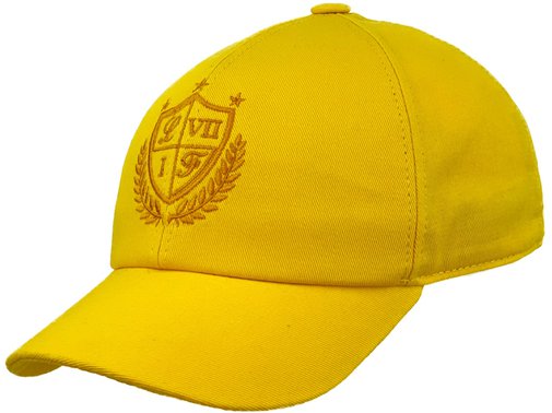 Бейсболка "Герб", ткань хлопок, цвет жёлтый 077-14V